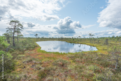 moor mukri estonia photo