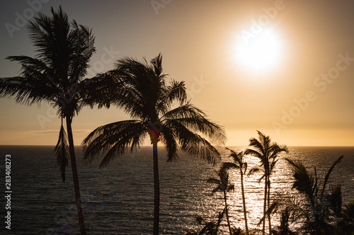 Sunset in paradise  beautiful ocean landscape with palm trees  golden hour