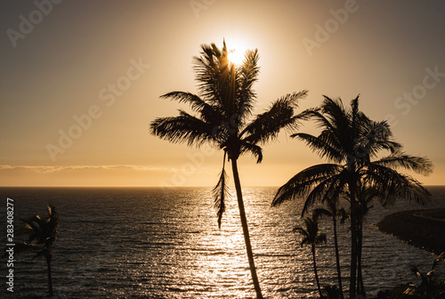 Sunset in paradise  beautiful ocean landscape with palm trees  golden hour