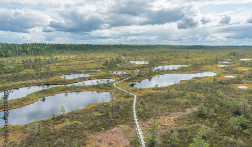 moor mukri estonia photo