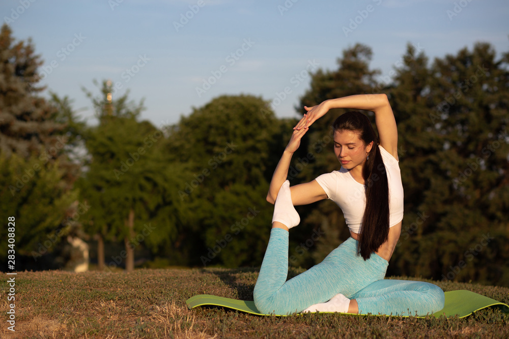 Glorious fit woman wearing sport apparel relaxing in nature and practicing yoga in sunset. Space for text Glorious fit woman wearing sport apparel relaxing in nature and practicing yoga in sunset. Space for text