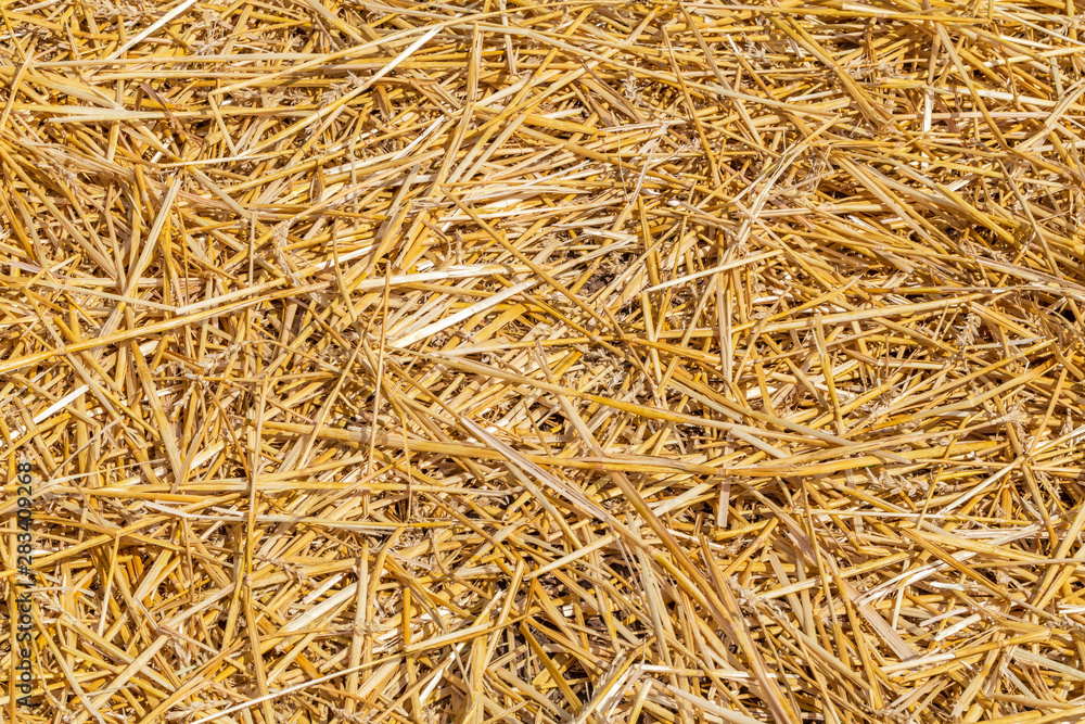 Abstract straw background