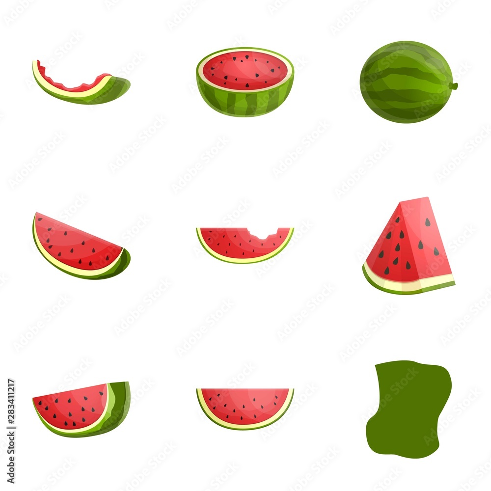 Vegan watermelon icon set. Cartoon set of 9 vegan watermelon vector icons for web design isolated on white background Vegan watermelon icon set. Cartoon set of 9 vegan watermelon vector icons for web design isolated on white background