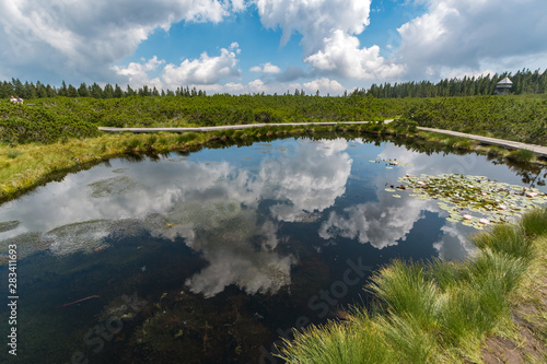 Clouds reflecting in the Lovrenc lakes (Lovrenšla jezera) in the mountain marshlands near Rogla, Slovenia