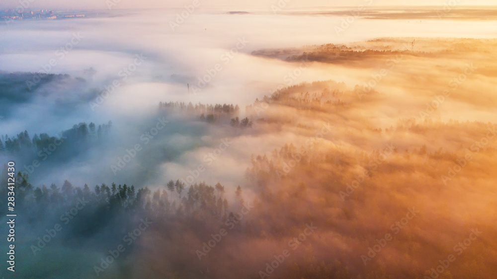 Morning fog over woodland. Summer nature landscape aerial panorama