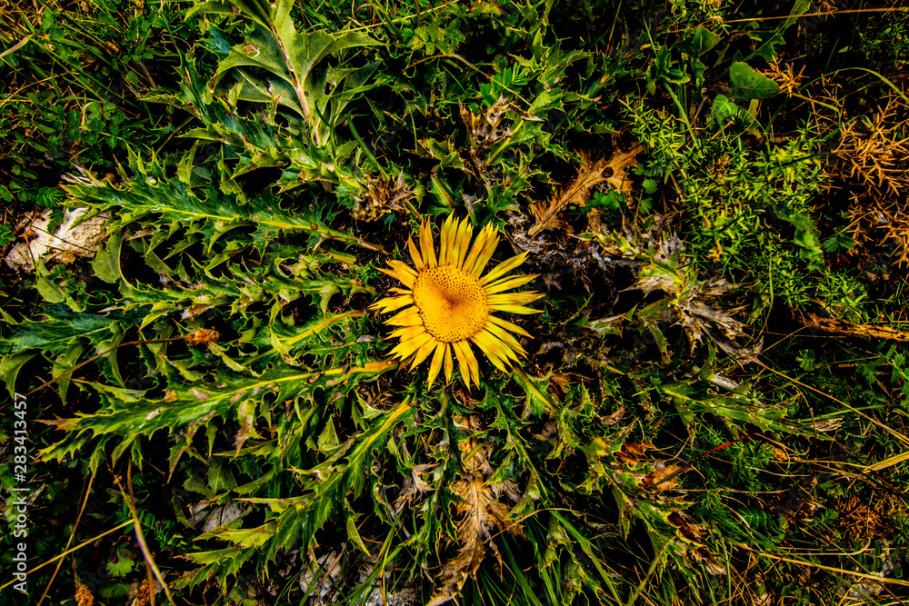 Paseos por el Parque Natural de urbasa Paseos por el Parque Natural de urbasa