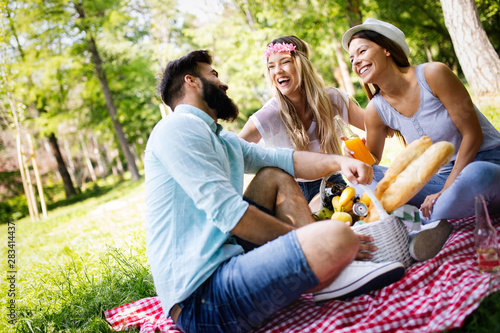Happy group of friends relaxing and having fun on picnic in nature