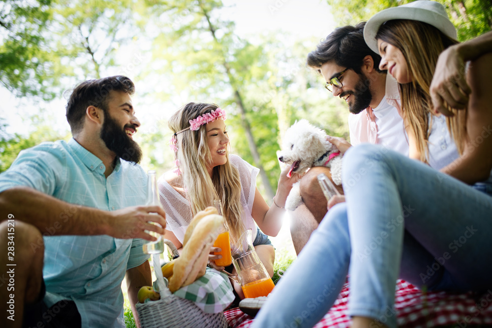 Obraz premium Happy friends in the park having picnic on a sunny day.