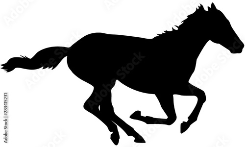 Canvas Print Race Horse Silhouette 2