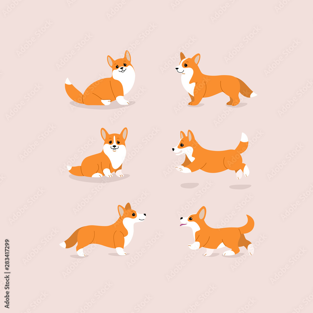 Corgi dog icon set. Different poses of corgi dog. Cartoon illustration for prints, clothing, packaging, stickers, stickers. Corgi dog icon set. Different poses of corgi dog. Cartoon illustration for prints, clothing, packaging, stickers, stickers.