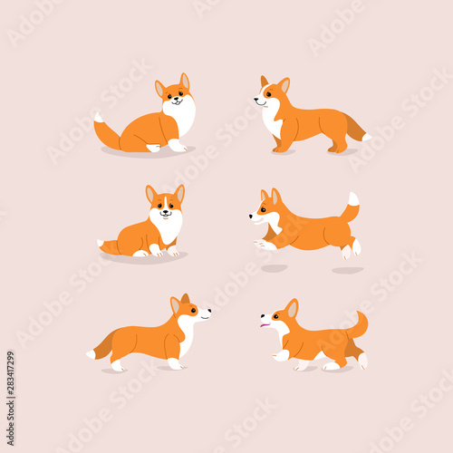 Corgi dog icon set. Different poses of corgi dog. Cartoon illustration for prints, clothing, packaging, stickers, stickers.