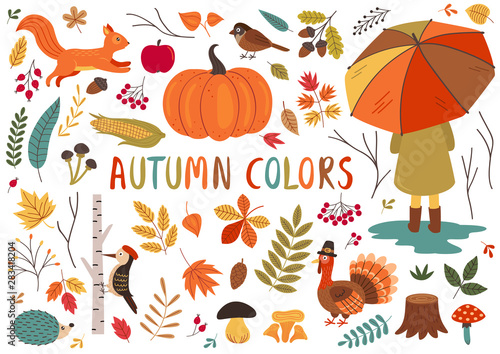 set of isolated autumn colorful elements  - vector illustration  eps    