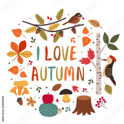 card with autumn colorful elements  - vector illustration, eps    