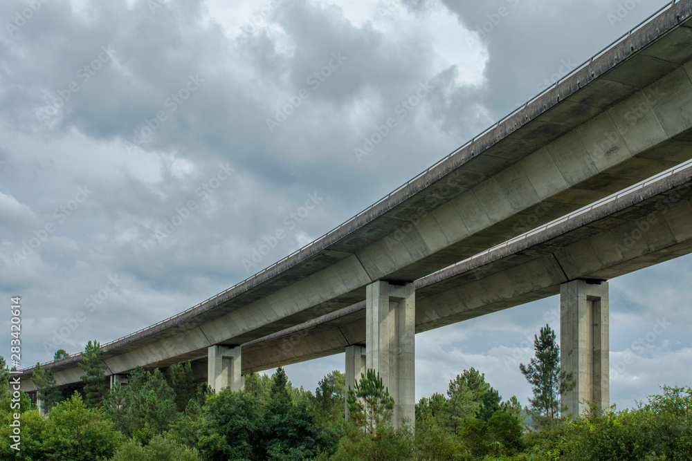 concrete bridge from below crossing a forest concrete bridge from below crossing a forest