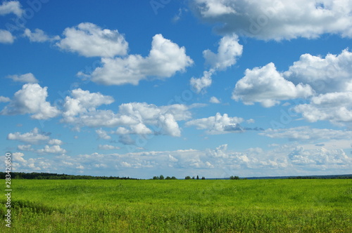 green field and clouds. Perm region. Russia