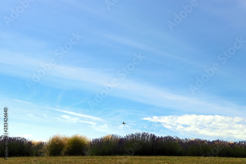 Low lying landscape shot with airplane taking flight, on a sunny day with a few clouds. 