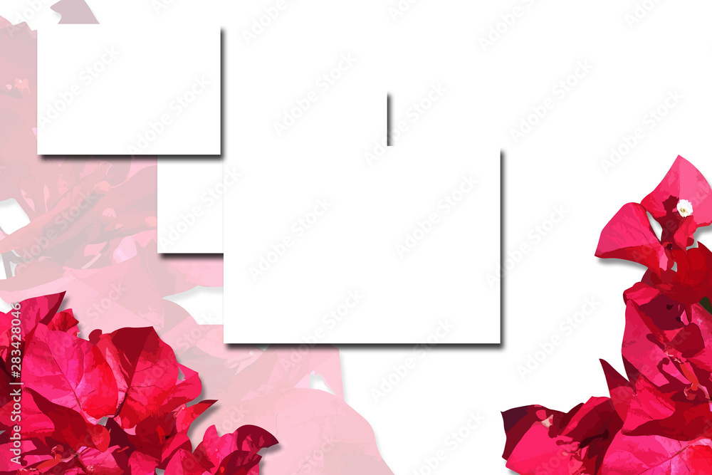 Obraz premium flowers illustration design