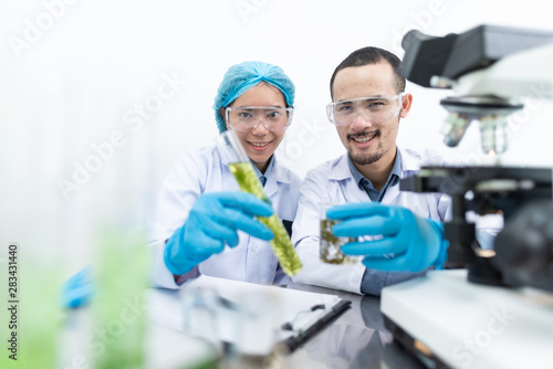 Photobioreactor in lab alga...