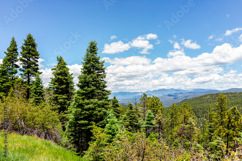 Carson National Forest green pine trees with Sangre de Cristo mountains on summer peak overlook from route 76 high road to Taos