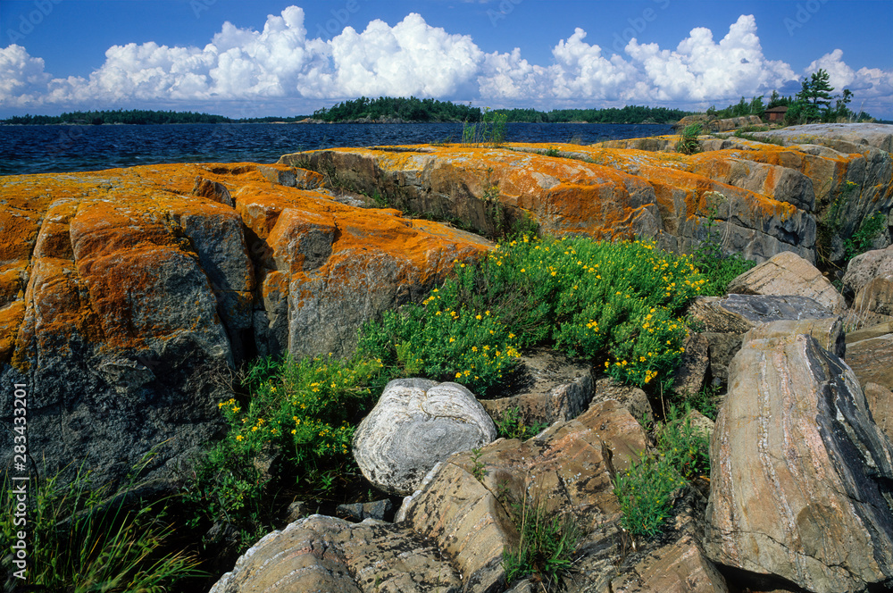 Precambrian metamorphic rocks covered with orange lichen; island in the 10,000 Islands area of the Georgian Bay, an arm of Lake Huron in Ontario, Canada. 