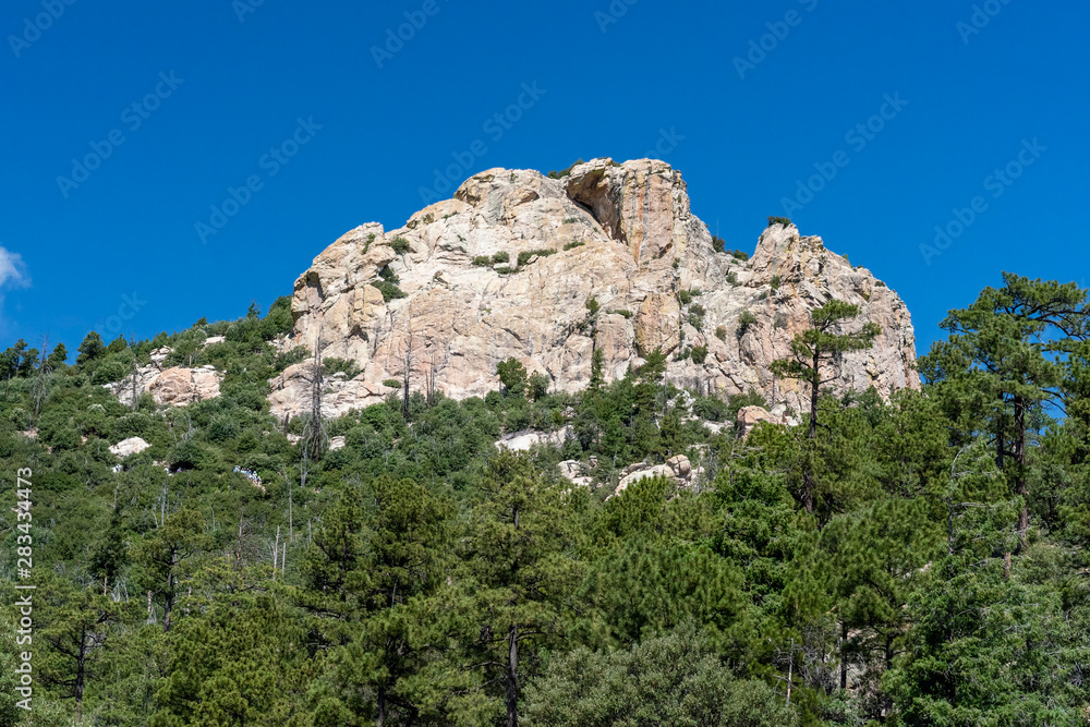 Hikers on Mount Lemmon in Tucson, AZ Hikers on Mount Lemmon in Tucson, AZ