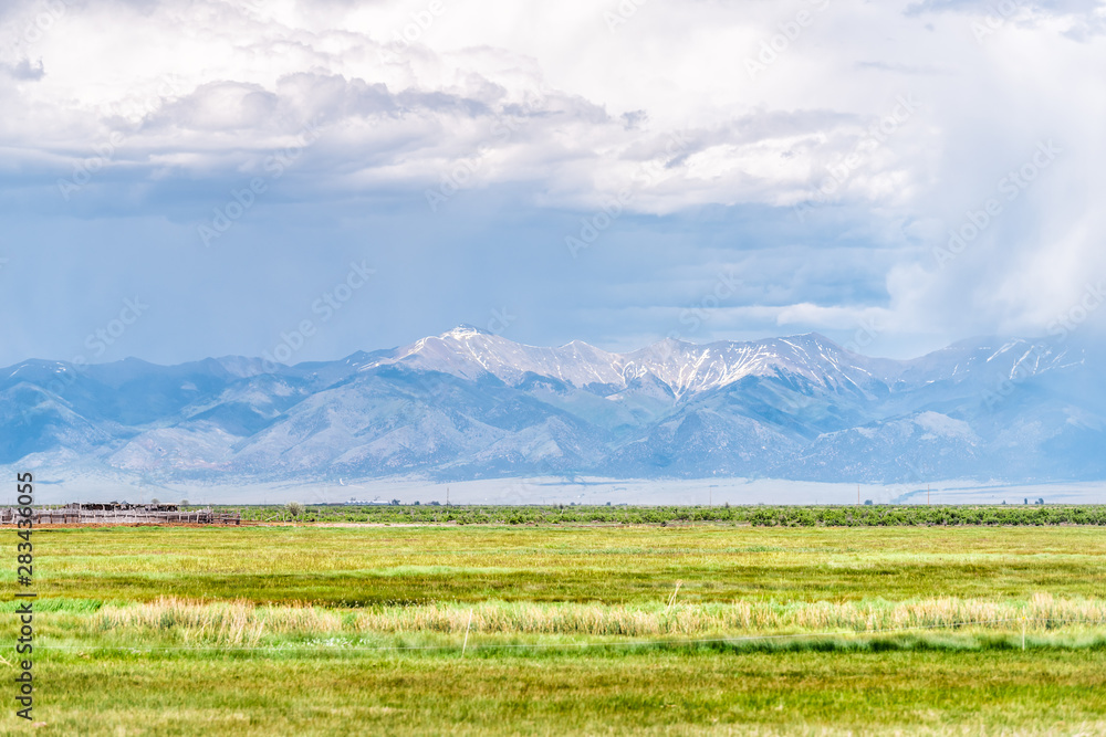 Colorado route 285 with rural farm pasture and cows or horses near Center and Monte Vista and view of Rocky Mountains Colorado route 285 with rural farm pasture and cows or horses near Center and Monte Vista and view of Rocky Mountains