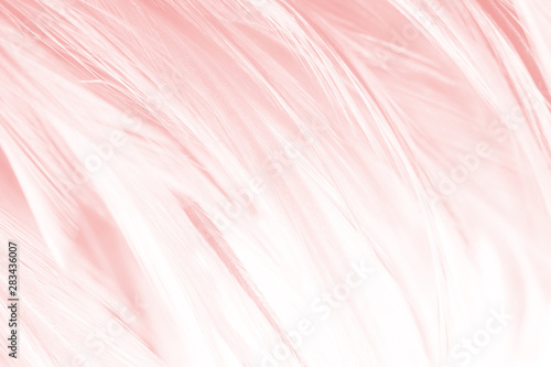 Beautiful soft pink vintage color trends wool feather pattern texture background © nadtytok28