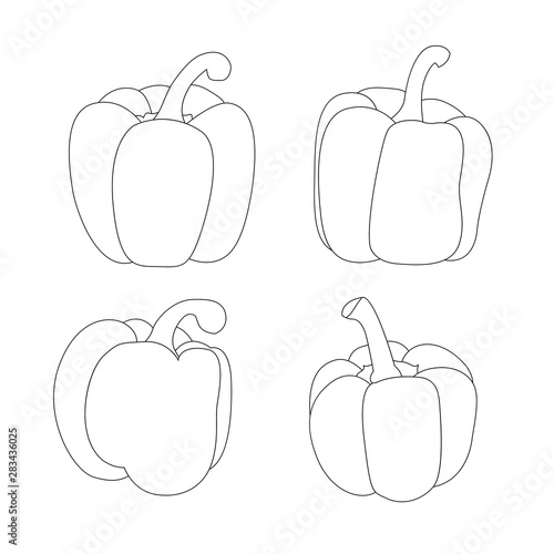 Line bell pepper isolated on white background illustration vector