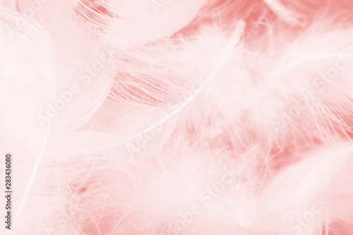 Beautiful soft pink vintage color trends wool feather pattern texture background