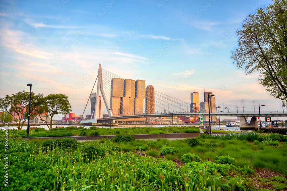 A view of the Erasmusbrug (Erasmus Bridge) which connects the north and south parts of Rotterdam, the Netherlands.