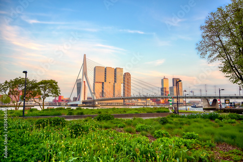 A view of the Erasmusbrug (Erasmus Bridge) which connects the north and south parts of Rotterdam, the Netherlands.