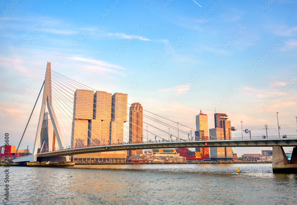 Fototapeta premium A view of the Erasmusbrug (Erasmus Bridge) which connects the north and south parts of Rotterdam, the Netherlands.