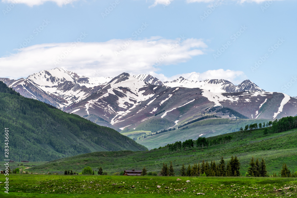 Mount Crested Butte village in summer with green grass and snow mountains with alpine meadows in early summer