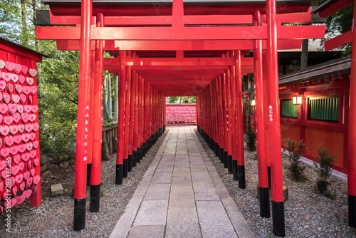 愛知県犬山市 三光稲荷神社の千本鳥居 Stock Photo Adobe Stock