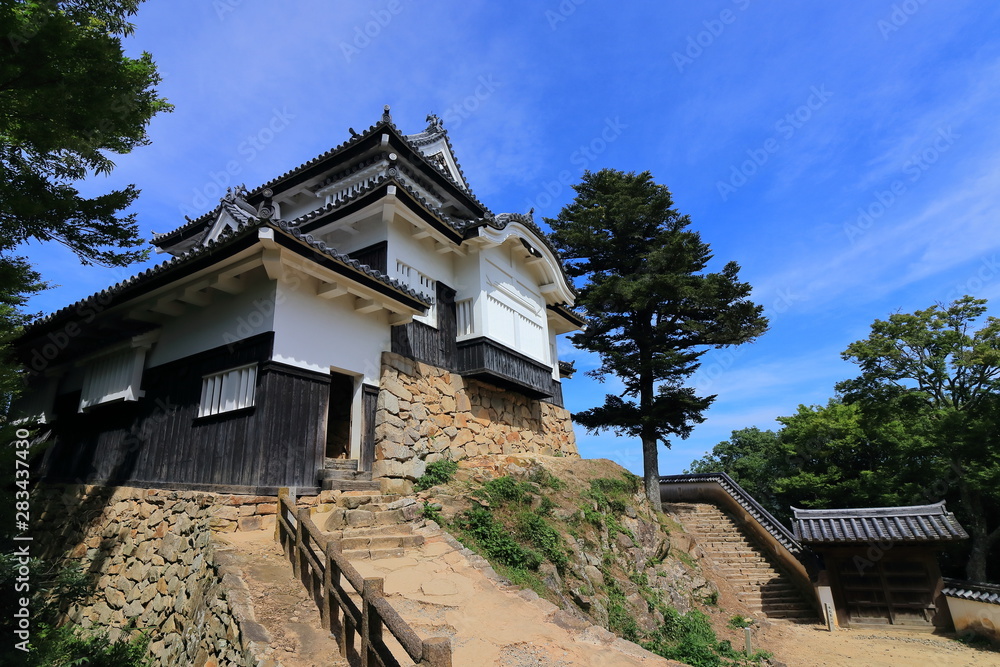 Bitchu matuyama castle in Takahasi city in Japan