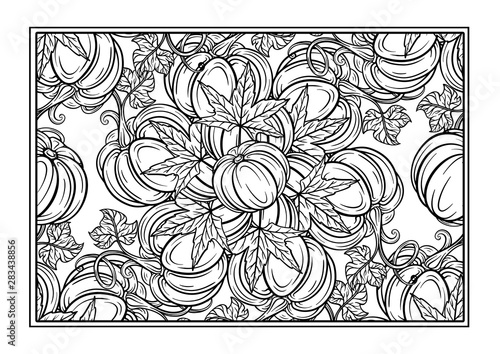Black and white autumn ornament. Pumpkins and autumn leaves coloring page