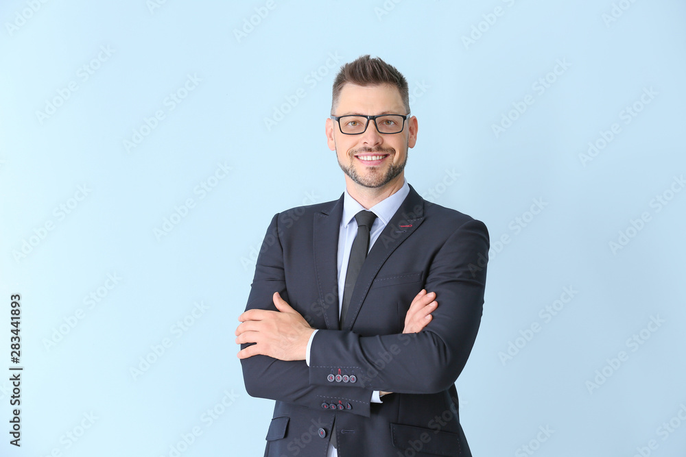 Handsome male teacher on light background