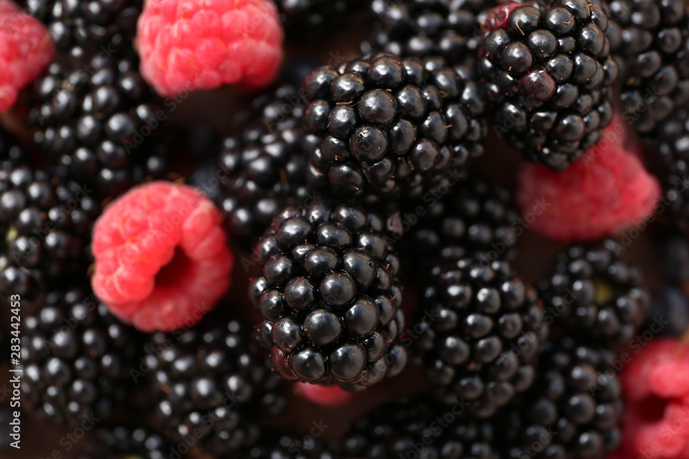 Ripe blackberry and raspberry as background Ripe blackberry and raspberry as background