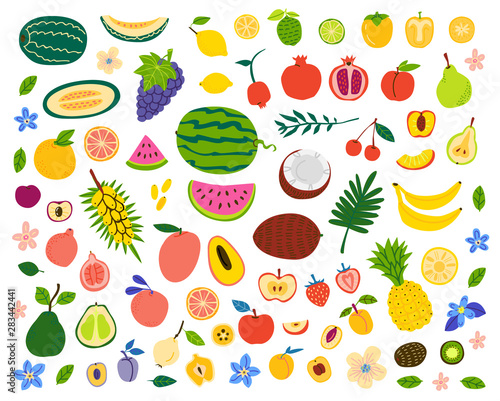 Fototapeta Naklejka Na Ścianę i Meble -  Fruits and berries hand drawn illustrations set