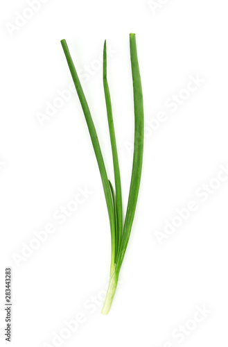 Wallpaper Mural Fresh green onion on white background Torontodigital.ca