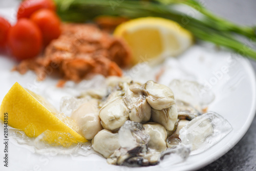 Fresh oysters served on white plate and ice - Oyster Salad with lemon and herb in the seafood restaurant