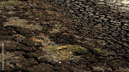 Very dry Lake Apex in Gatton, Lockyer Valley Region, Queensland after no rain for a long time. photo