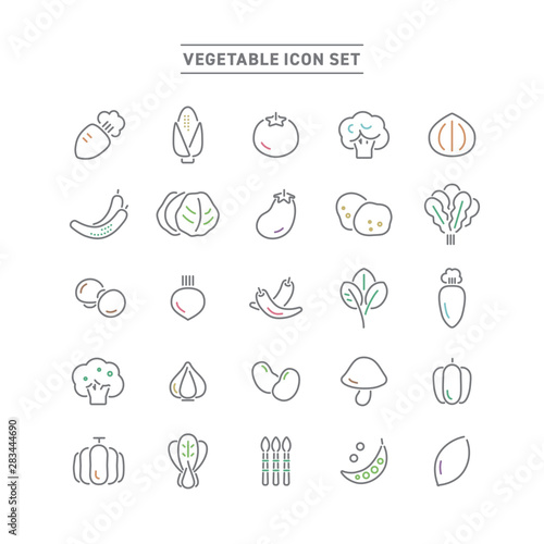 VEGETABLE ICON SET
