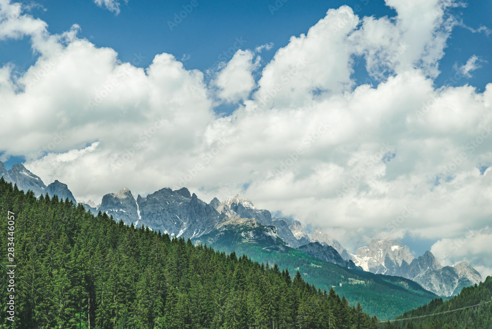 landscape view of alps mountains peak fir tree on background