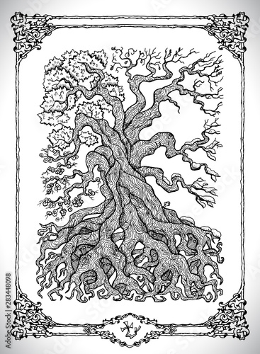 Symbol of four calendar year seasons and old tree. Vector line art mystic illustration. Engraved drawing in gothic style. Occult, esoteric and fantasy concept.