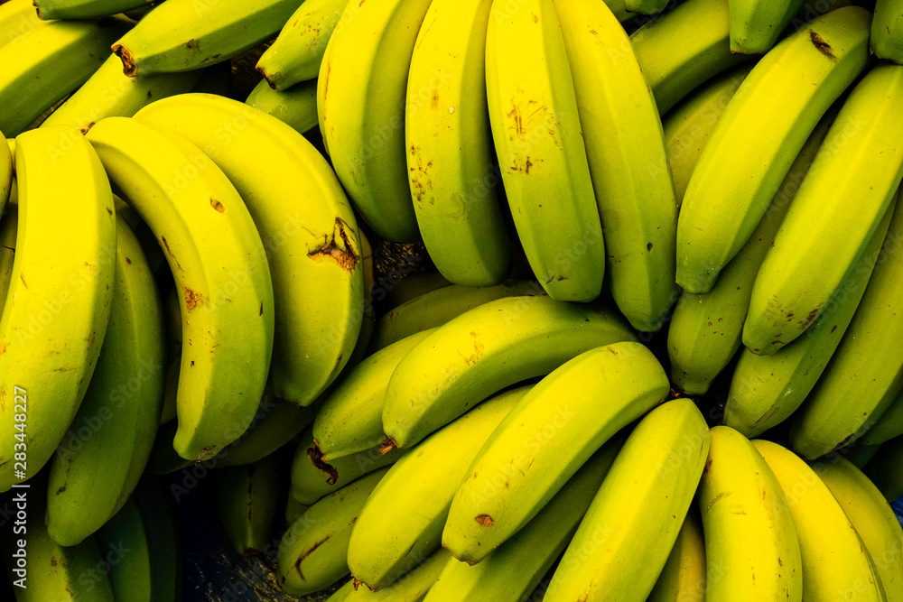 green banana for bio mass production.