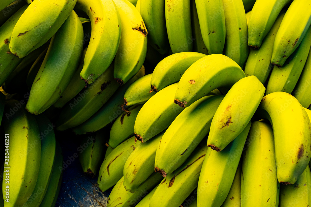 green banana for bio mass production.