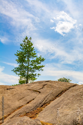 A tree stands tall on a rock by a cliff photo