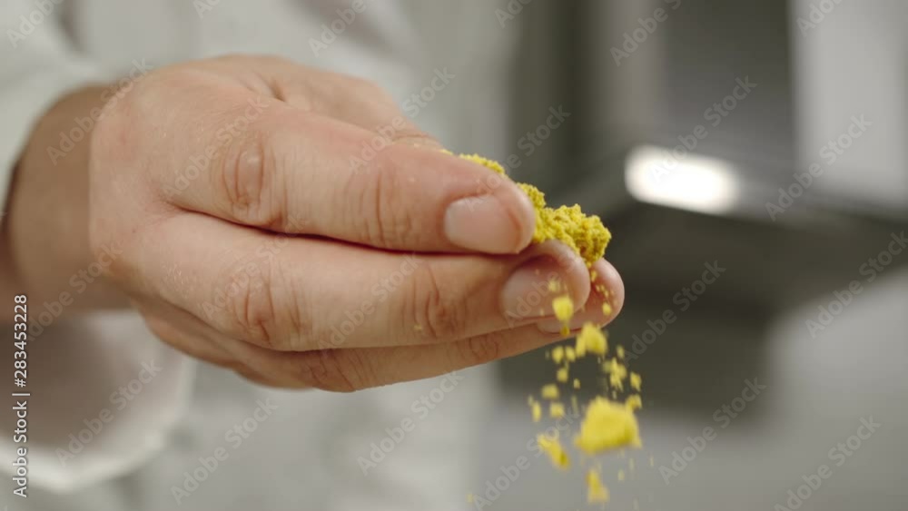 SLOW MOTION: Chef Sprinkles Yellow Turmeric Powder While Cooking SLOW MOTION: Chef Sprinkles Yellow Turmeric Powder While Cooking