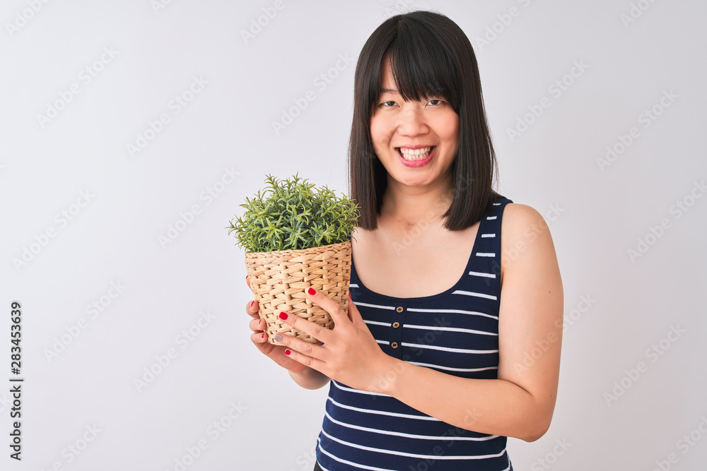 Young beautiful Chinese woman holding plant pot standing over isolated white background with a happy face standing and smiling with a confident smile showing teeth Young beautiful Chinese woman holding plant pot standing over isolated white background with a happy face standing and smiling with a confident smile showing teeth